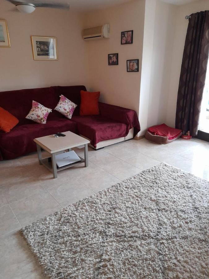 Apartment On The Plaza Alicante Eksteriør billede